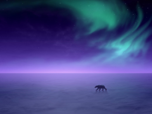 20888 (a): :1600x1200